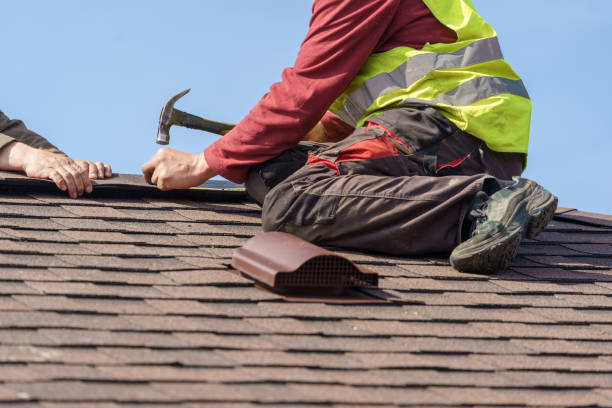 Best Roof Repair Services  in Lam, AR