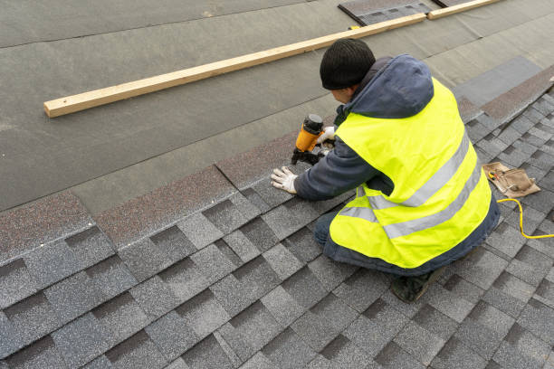 Best Storm Damage Roof Repair  in Lam, AR